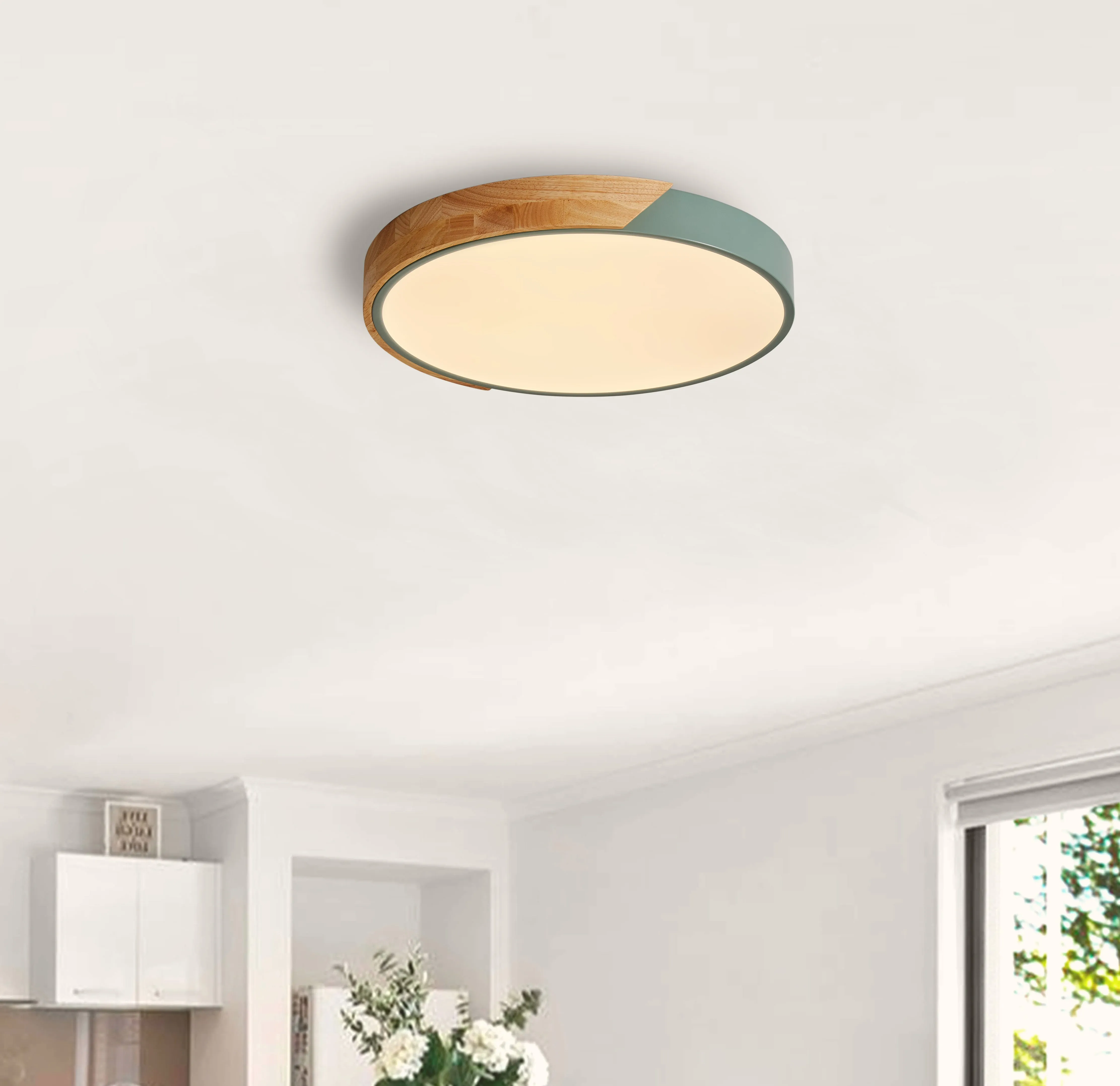 1-Light Round Acrylic LED Flush Mount Lighting