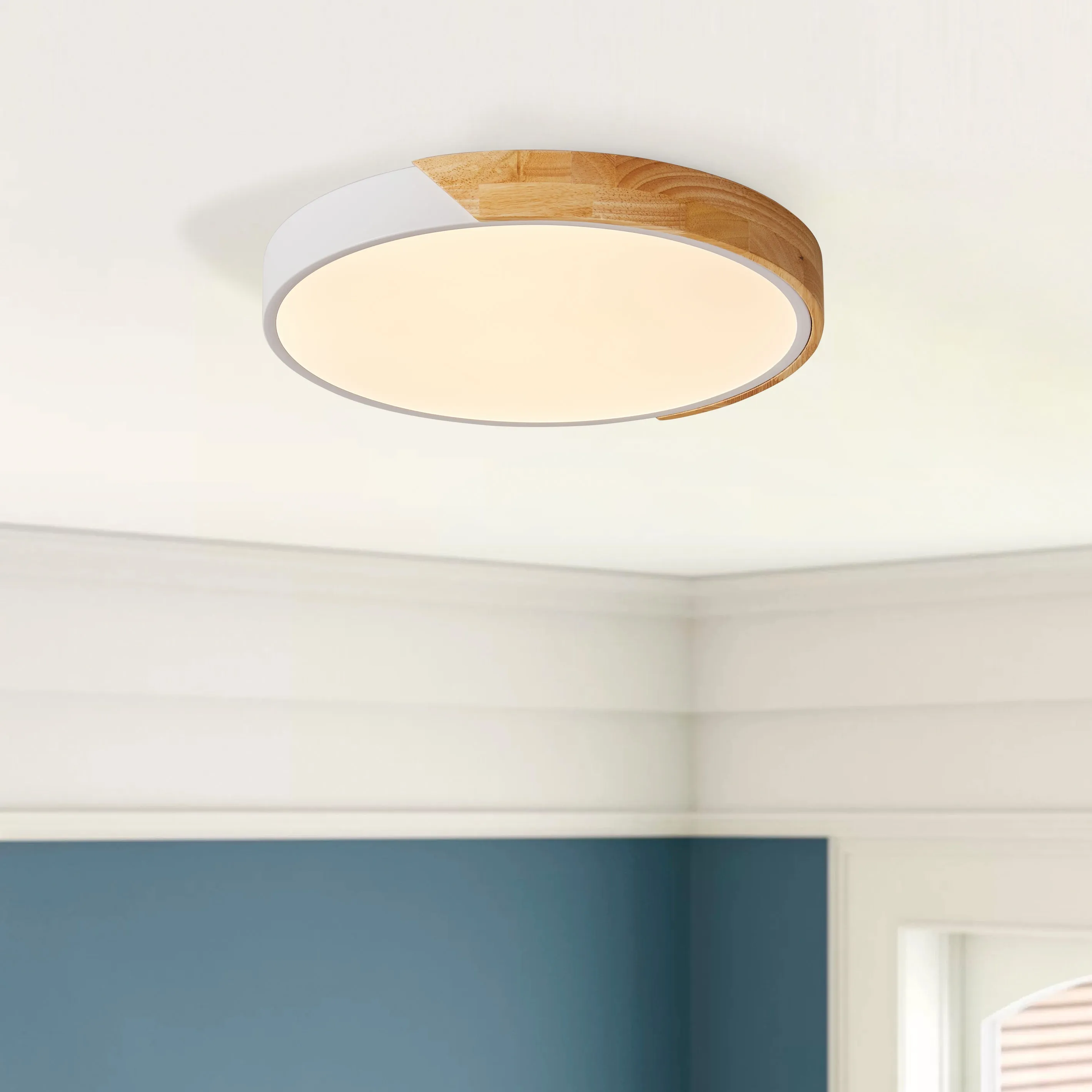 1-Light Round Acrylic LED Flush Mount Lighting